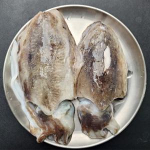 [푸디앤] 탱글 특대 갑오징어 1kg(2-4미) / 청정바다 통영에서 보내드리는 생물 갑오징어입니다.