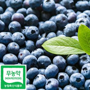무농약 국내산 블루베리 생과 500g