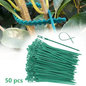 50pcs 조정 가능한 플라스틱 식물 케이블 타이 정원 나무 등반 지원을위한 재사용 가능한 케이블 타이 식물 포도 나무 토마토 줄기 클립