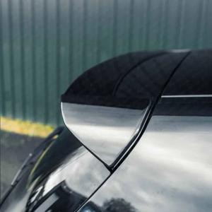 BMW F20 F21 116i 118i 120i M135i M140i 2011-2019 뒷 지붕 스포일러 캡 뒷 트렁크 지붕 립 스포일러 윙 자동차 뒷 립 커버
