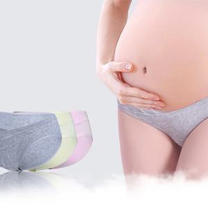 로우 웨이스트 배 지지대 순면 임산부 속옷, 부드럽고 편안함, 흔적 없는 모든 면 속옷, 5 개