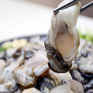 [푸디앤] 통영 생굴 깐굴 1kg