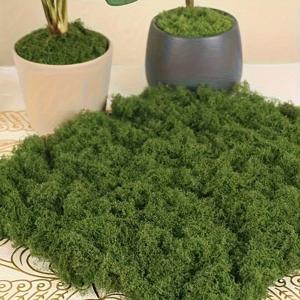 30/50/100g 녹색 인공 이끼 식물 가짜 이끼 DIY 공예 잔디 홈 룸 장식 정원 웨딩 장식 야외 장식품