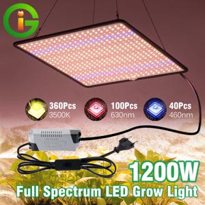 LED 성장 빛 전체 스펙트럼 식물 램프 AC85-240V 40W 실내 성장 텐트 식물 성장 빛