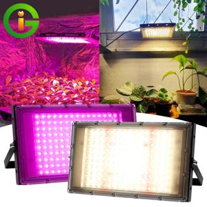 전체 스펙트럼 LED 성장 빛 50W 100W 온실 수경 식물 성장 조명에 대 한 햇빛 Phyto 램프를 모방