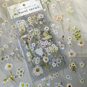 JIANQI 6 개/갑/팩 투명 PET 스티커 Scrapbooking 재료 DIY 정크 저널 콜라주 꽃 잎 식물 장식 스티커