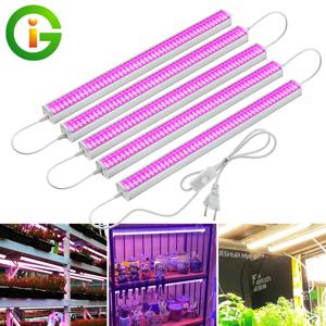 DIY SMD2835 양자 기술 LED 성장 라이트 바 Sunlike 보라색 빨간색 4000K 실내 식물 온실 성장 램프