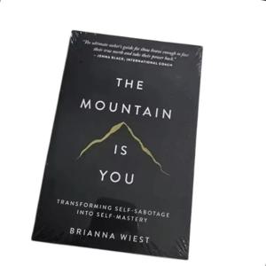 【영어 도서】 The Mountain Is You: 자기 파괴를 자기 통제로 변화시키는 자기 개선 도서