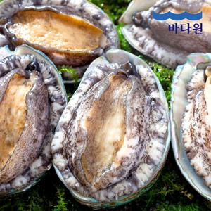 [20%쿠폰] 산지직송 완도 활전복 1kg (9-10미 내외)+손질칼