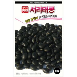 아시아종묘 씨앗 콩 서리태콩 1kg