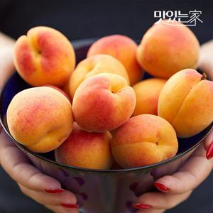 맛있는家 첫 수확 새콤달콤 유기농 하우스 살구 300g