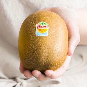제스프리 뉴질랜드 골드키위 묵직한 슈퍼 점보 특대 2.9kg내외 안심이중포장 맛젤