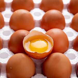 HACCP/무항생제 인증 난각번호 1번 유정란 20구/40구/60구