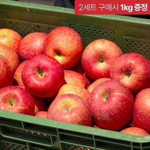 [2세트 구매시 1kg 추가발송] 경북 알뜰 부사사과 2kg (소과) 14-16과 외