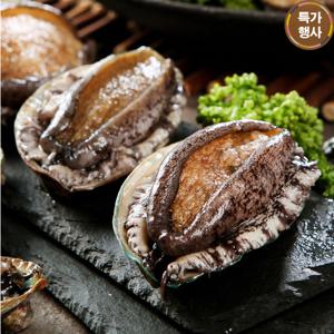 해신수산 완도활전복 大 8~10마리 560g