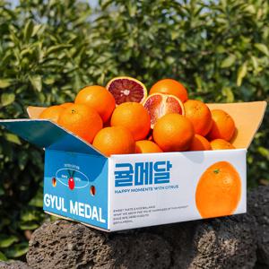 [한정수확] 귤메달 15brix 제주 블러드오렌지 당도선별 가정용 2kg 3kg 5kg