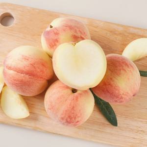 김천 하우스 복숭아 500g 중소과 (2-5과) 외 골라담기