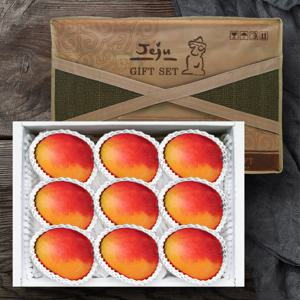 [올찬] 제주 애플망고 선물세트(대) 3kg 9~10과 / 제주직송