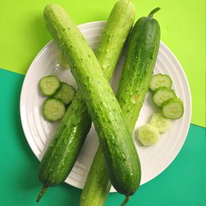 국내산 백다다기오이 백오이 1kg
