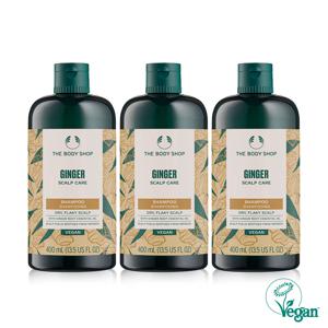 [2+1] 진저 스캘프 케어 샴푸 400ML (샴푸 3개)