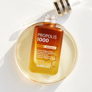 프로폴리스 1000 에너지 꿀보습 고영양 앰플 50ml