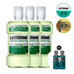 그린티 마일드 750ml x3