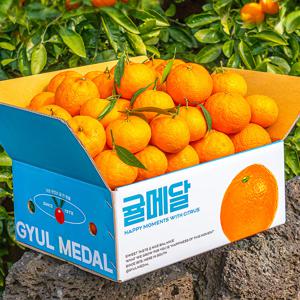 [시즌 마지막 SALE] 귤메달 제주 17Brix 카라향 가정용 소과 중과 2kg 3kg 5kg