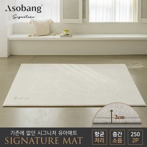 [아소방] 2P 시그니처 유아 놀이방매트 알베르 250 (250x150x2cm)