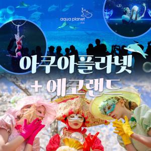 |한정특가| 제주 완전정복 폭삭 내려수다 아쿠아플라넷 제주 X 에코랜드 테마파크 신규컨텐츠 오픈 기념