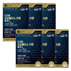 종근당 트리플 프로폴리스 이뮨 플러스 60캡슐 x 6박스 면역력 항산화 건강