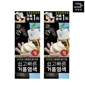 미쟝센 올뉴 쉽고빠른 거품 염색약 2N 흑색 x2 버블 새치커버