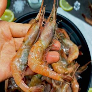 산지직송 횟감 묵호항 단새우  소금구이 버터구이 칠리새우 캠핑