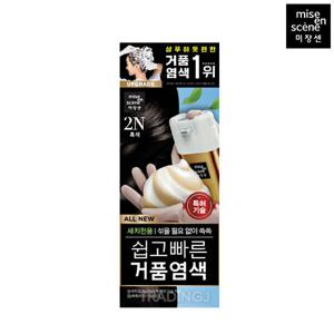 미쟝센 올뉴 쉽고빠른 거품 염색약 2N 흑색 x1 버블 새치커버