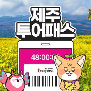 제주 제주투어패스 프리패스 자유이용권 / 여행 관광지 체험 액티비티 여객선 승마 카트 공연