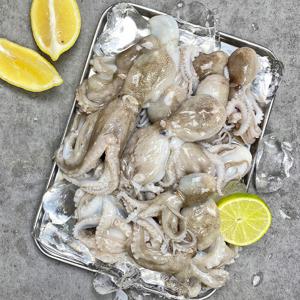 (신선집중) 국내산 별미 급냉 쭈꾸미 800g (10미 내외) / 2025년도에 어획한 주꾸미