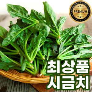 100% 국내산 제철 시금치 남해 노지 섬초 육지초 1kg 2kg 3kg