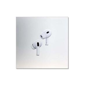 애플정품 티에스쇼핑_정품 Apple 에어팟 프로 2세대 USB-C타입 (MTJV3KH/A)