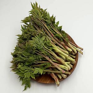 울릉도 눈개승마 제철 봄나물 1kg