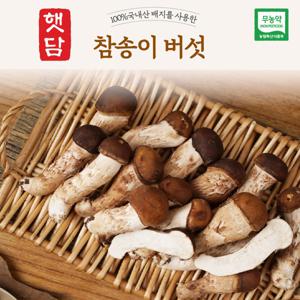 햇담 참송이버섯 정품 특대사이즈 최상급 500g 1kg 농협에 납품하는 무농약 이천 참송이버섯 3+1행사 중
