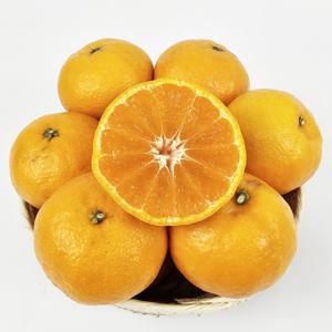 카라향 제주카라향 5kg(실중량 4.5kg) / 배송비 무료 이벤트 진행 중