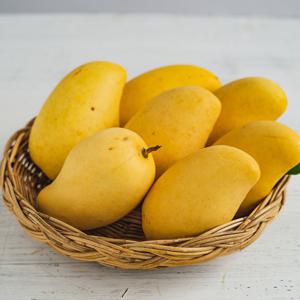 프리미엄 항공직송 태국 골드망고 1kg(2~3과) 고당도 생과일 2kg 주문시 10% 할인