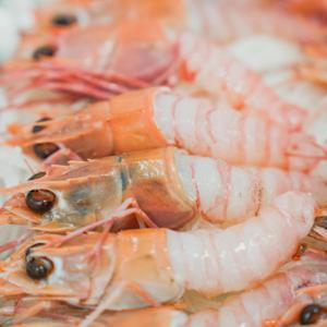 딱새우 딱새우회 횟감용 급냉 150g / 마릿수가 적을수록 크고 맛있어요 (10미 15미 20미 25미)