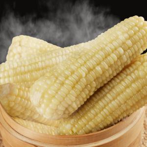 쫀득한 냉동 찐 백찰옥수수 특대 10개