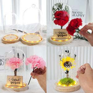 LED 유리돔 무드등 DIY 만들기 재료 키트 세트 꾸미기 플라워 카네이션 등 다양한 종류의 키트 총 모음