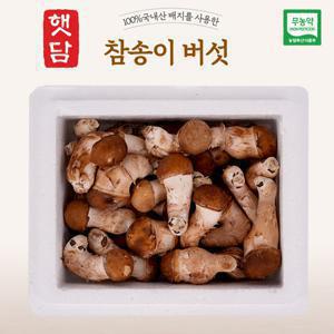 햇담 참송이버섯 정품중급 실속형 대사이즈 500g 1kg 농협에 납품하는 무농약 이천 참송이버섯 3+1행사 중