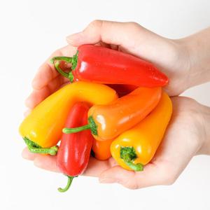 국내산 미니 파프리카 색상혼합(1kg) 미니 파프리카