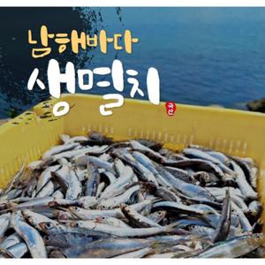 남해바다 손질 생멸치 500g  튀김 초무침 회  청정수역  칼슘의 제왕 이젠 요리로 드세요