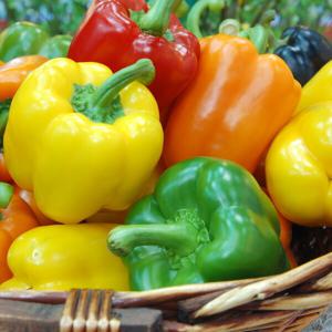 대박농수산 국내산 파프리카 노란 빨간 피망 못난이 1kg 2kg 3kg 노랑 빨강