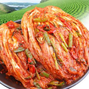 (신선집중) 가정식 생포기김치10Kg 맛없다면 무료반품 /배추김치/반찬/총각/열무/라면/캠핑