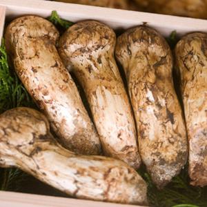 특A급 자연산 송이버섯 1KG